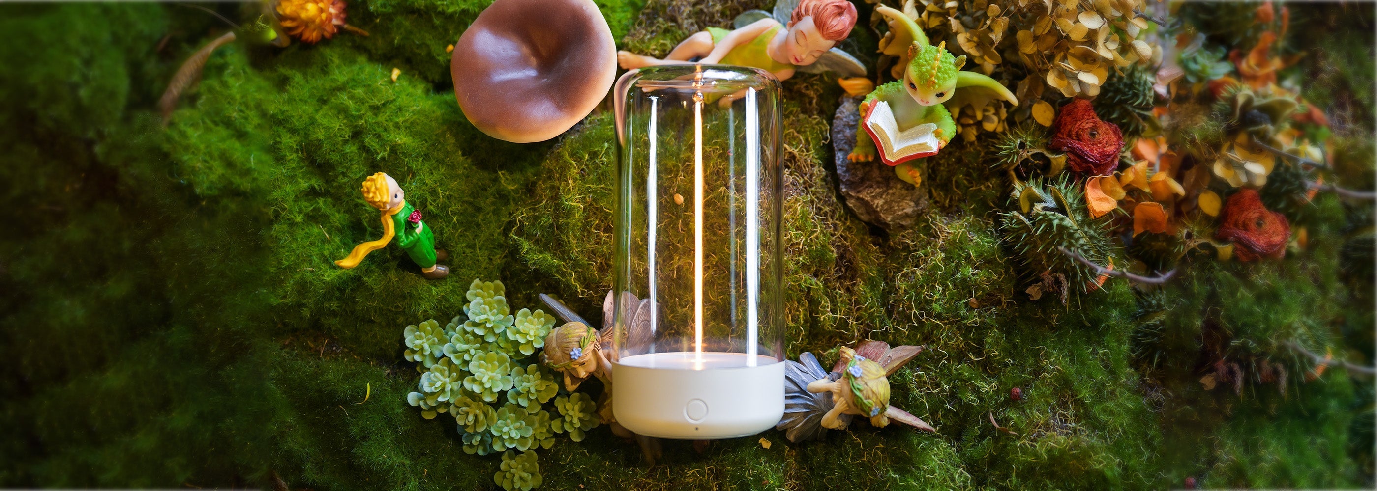 Table Lamps - Auge Light