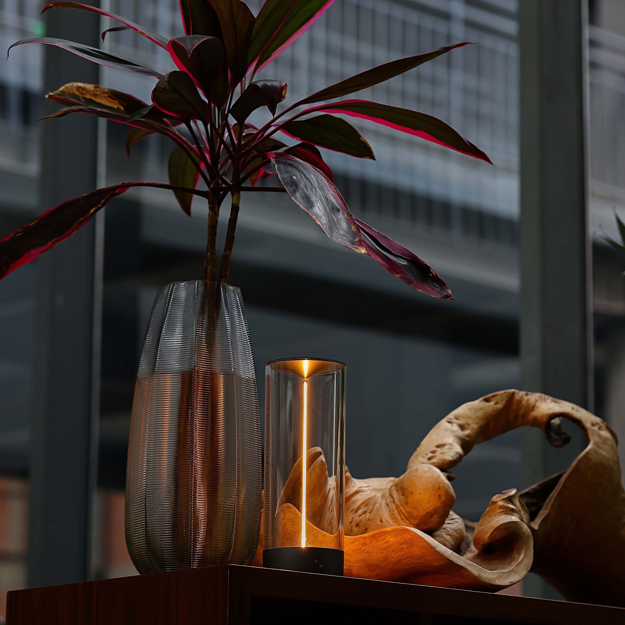 Auge Light 12.76 in Cordless Table Lamp for Desk Setup Dimmable - Auge Light